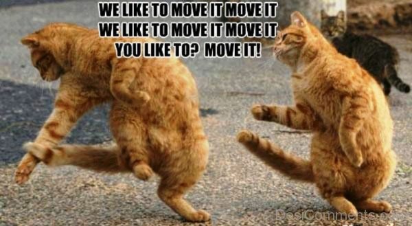 We Like To Move It Move It