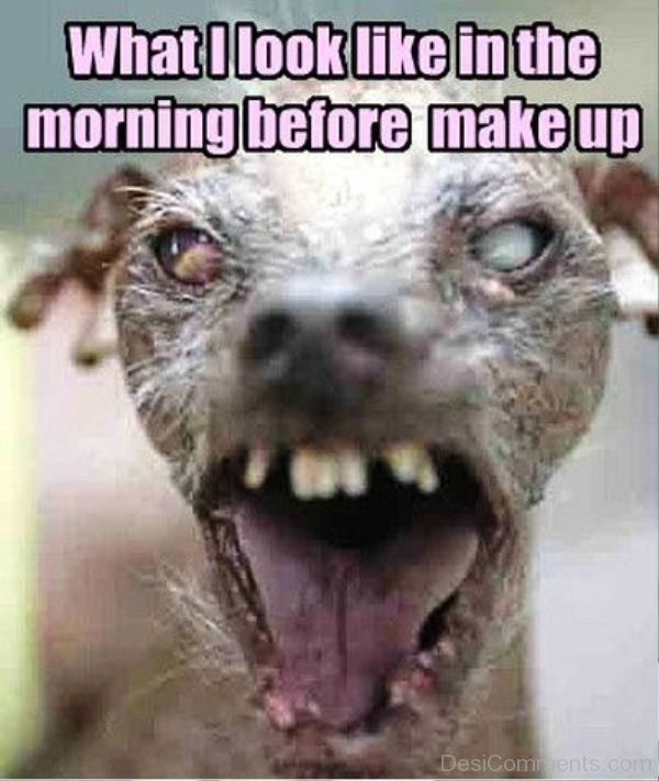 What I Look Like In The Morning