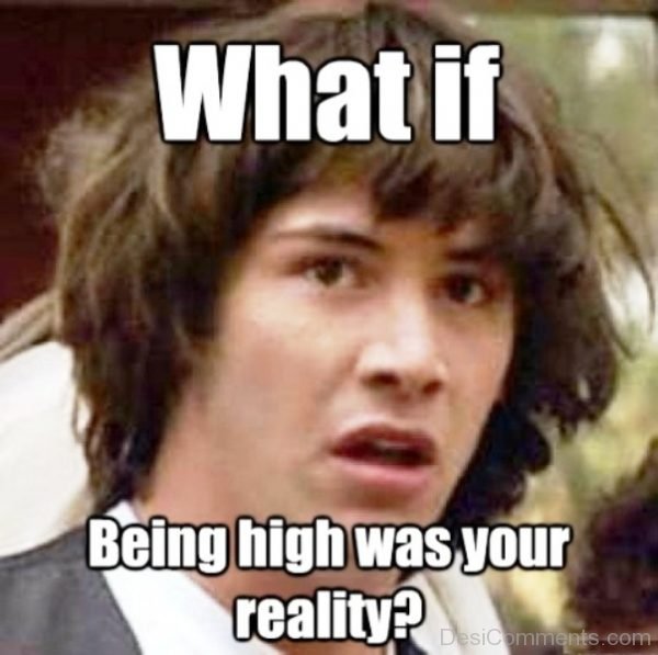 What If Being High Was Your Reality