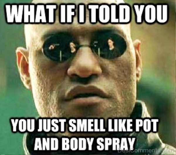 What If I Told You