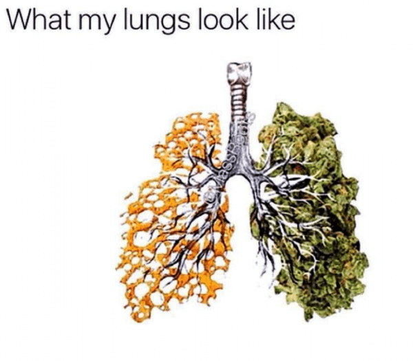 What My Lungs Look Like