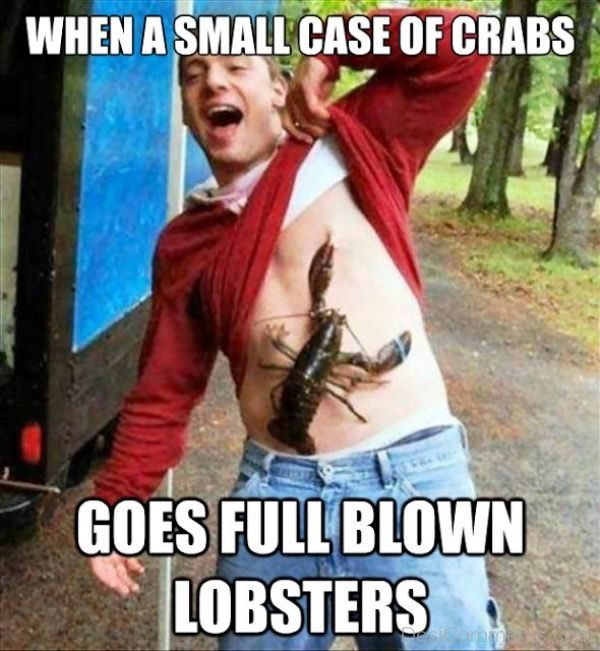 When A Small Case Of Crabs