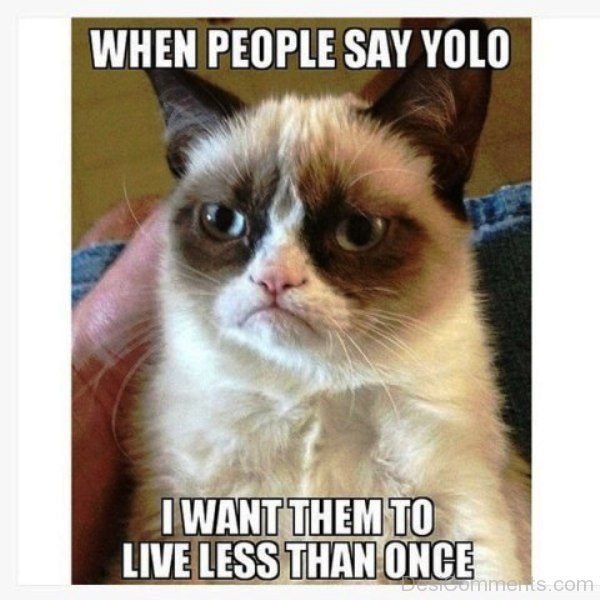 When People Say Yolo