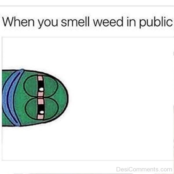 When You Smell Weed In Public