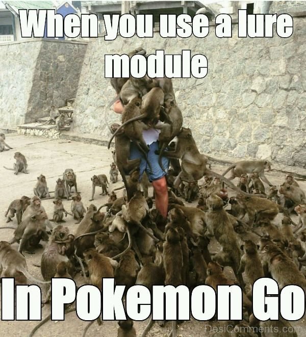 When You Use A Lure Module