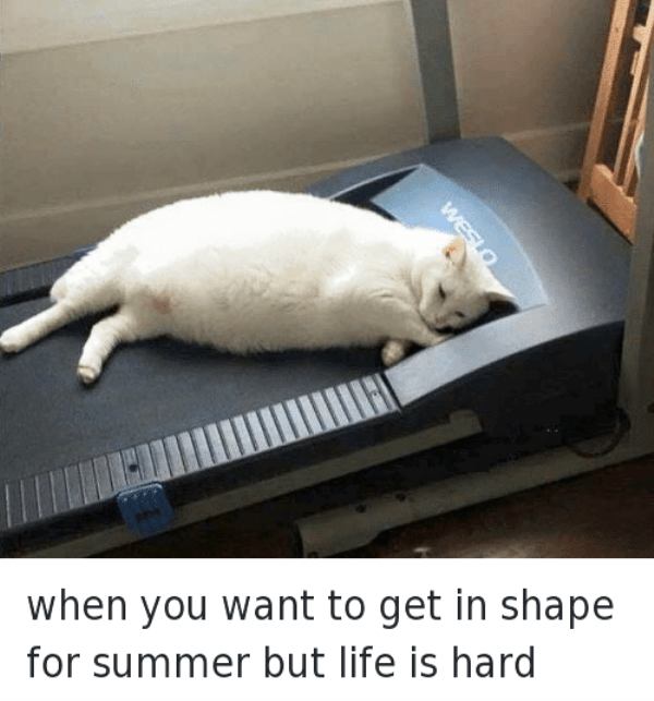 When You Want To Get In Shape
