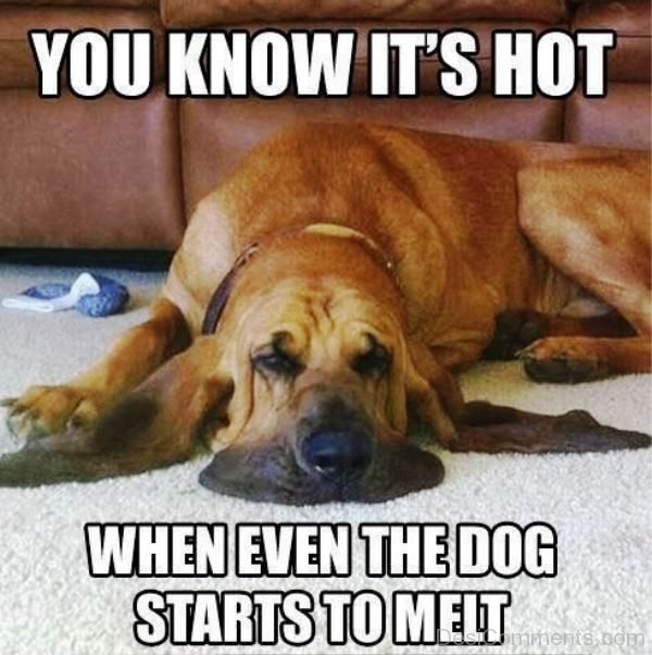 You Know Its Hot