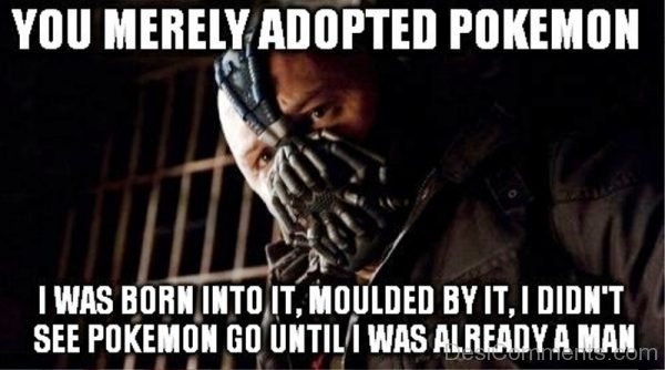 You Merely Adopted Pokemon
