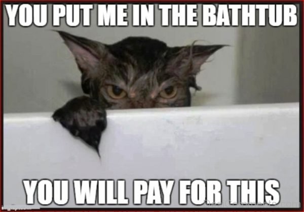 You Put Me In The Bath Tub