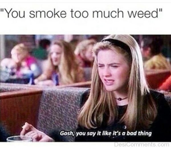 You Smoke Too Much Weed