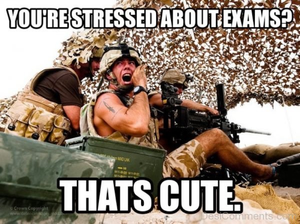 You re Stressed About Exams