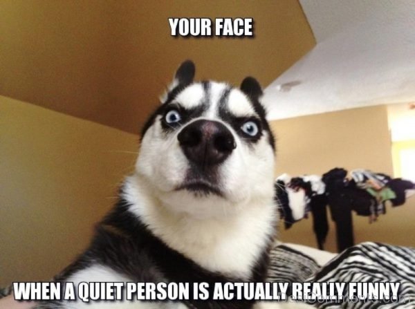 Your Face When A Quiet Person Is