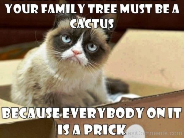 Your Family Tree Must Be A Cactus
