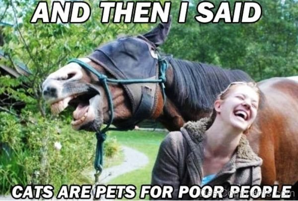 And Then I Said Cats Are Pets For Poor People