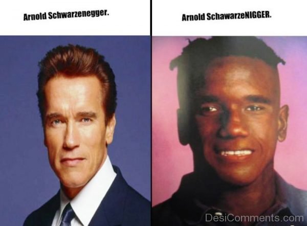 Arnold Schwarzenegger Vs Arnold Schawarzenigger
