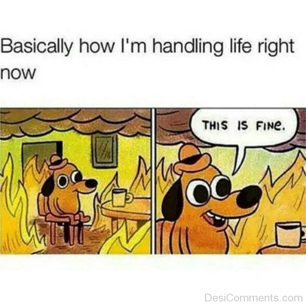 Basically How Im Handling Life