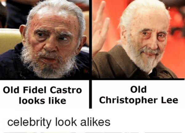 Celebrity Look Alikes