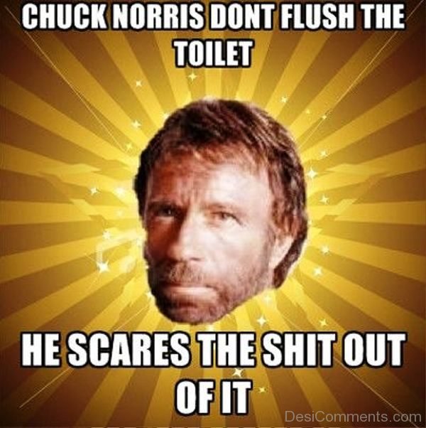 Chuck Norris Dont Flush The Toilet