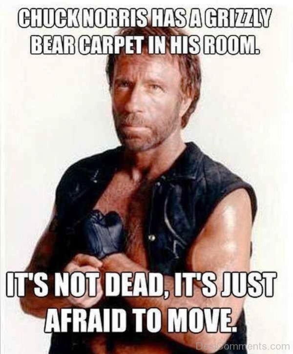 Chuck Norris Has A Grizzly Bear Carpet