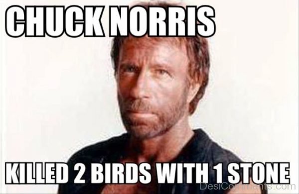 Chuck Norris Killed 2 Birds