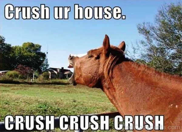 Crush Your House