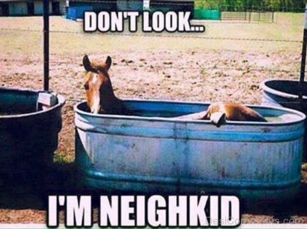 Dont Look Im Neighkid