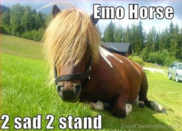 Emo Horse 2 Sad 2 Stand