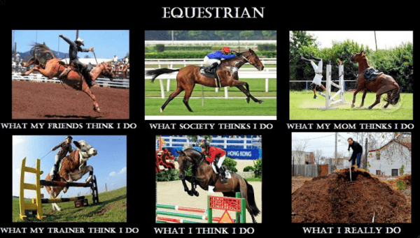 Equestrian