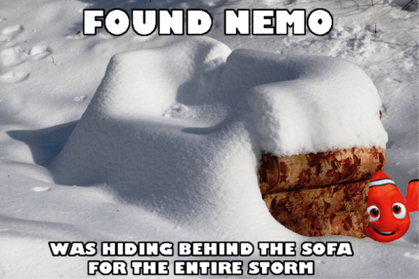 Found Nemo