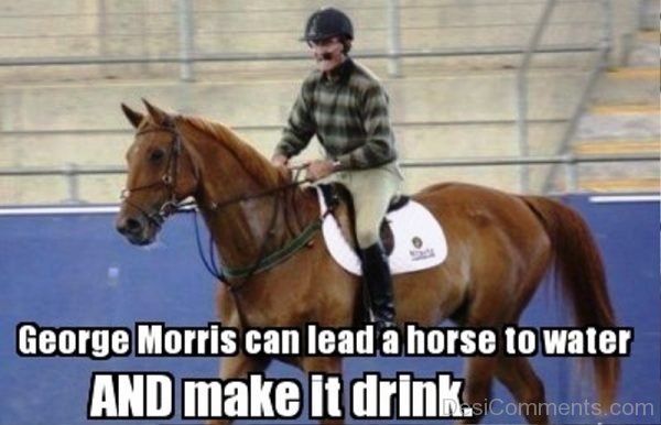 George Morris Can Lead A Horse To Water