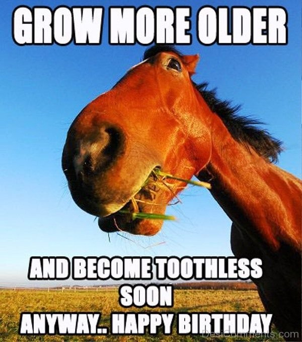 Grow More Older