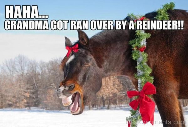 Haha Grandma Got Ran Over By A Reindeer