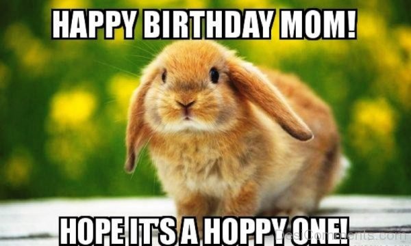Happy Birthday Mom Hope Its A Hoppy One