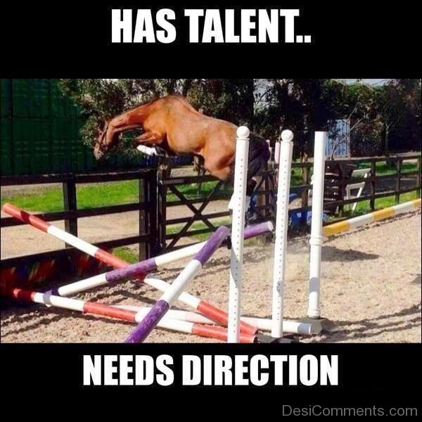 Has Talent Needs Direction