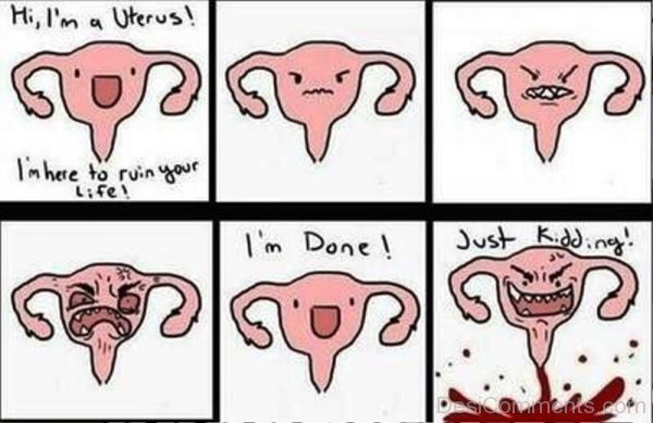 Hi Im A Uterus