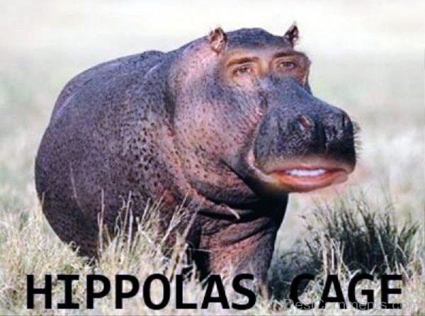 Hippolas Cage