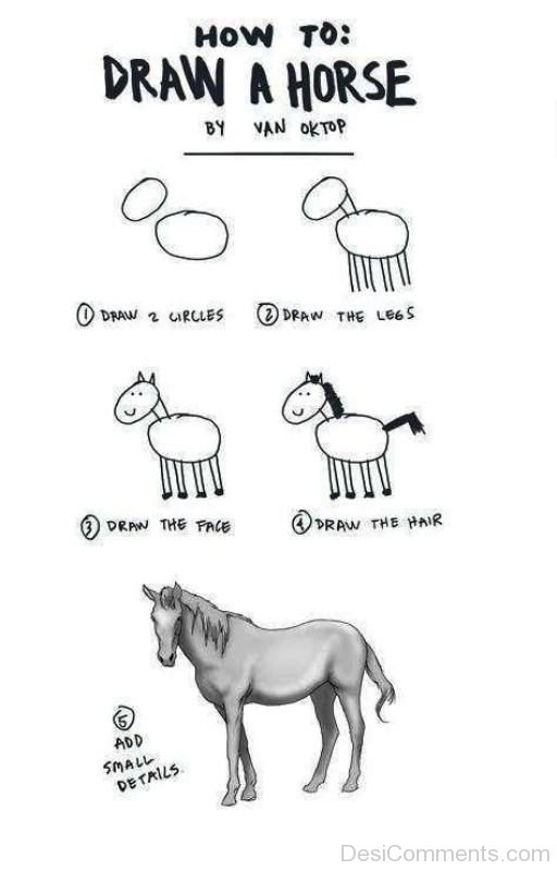 How To Draw A Horse