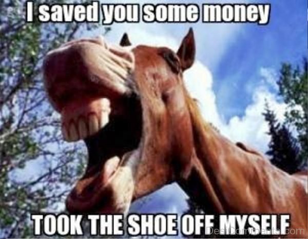 I Saved You Some Money