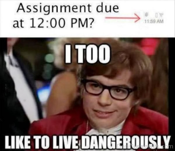 I Too Like To Live Dangerously