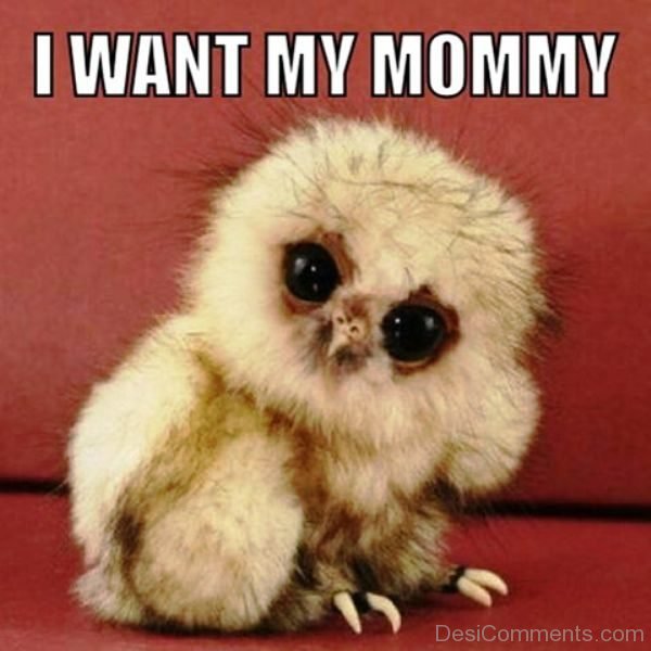 I Want My Mommy