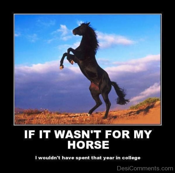 If It Wasnt For My Horse