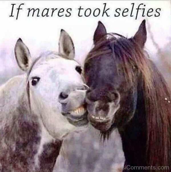 If Mares Took Selfies