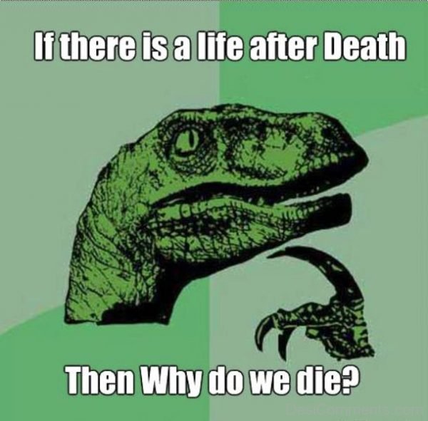 If There Is A Life After Death