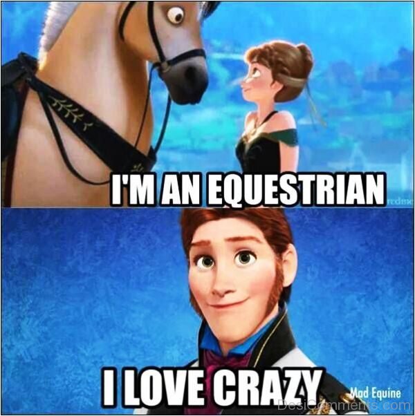 Im An Equestrian