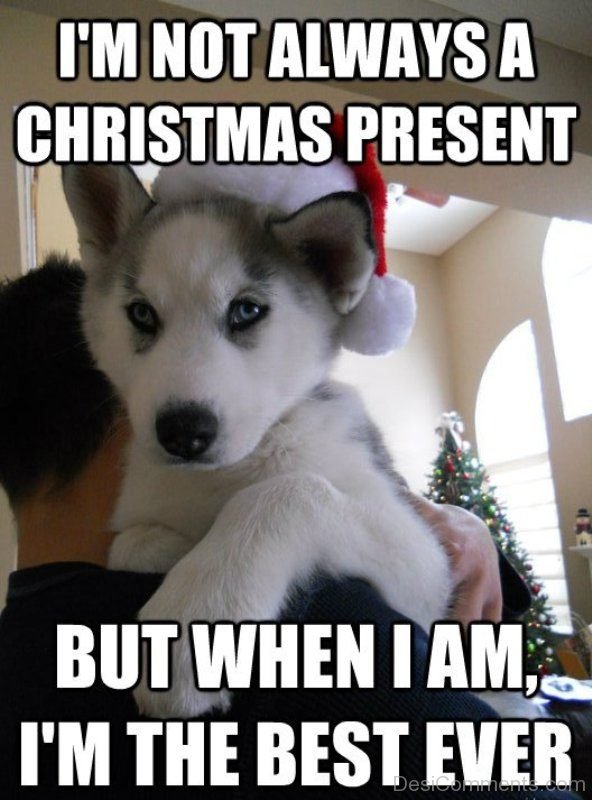 Im Not Always A Christmas Present