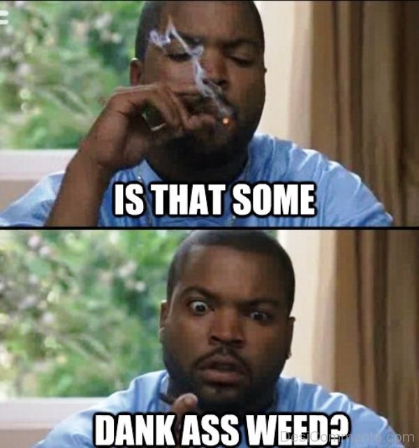 Is That Some Dank Ass Weed