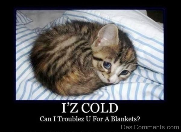 Iz Cold Can I Troublez You