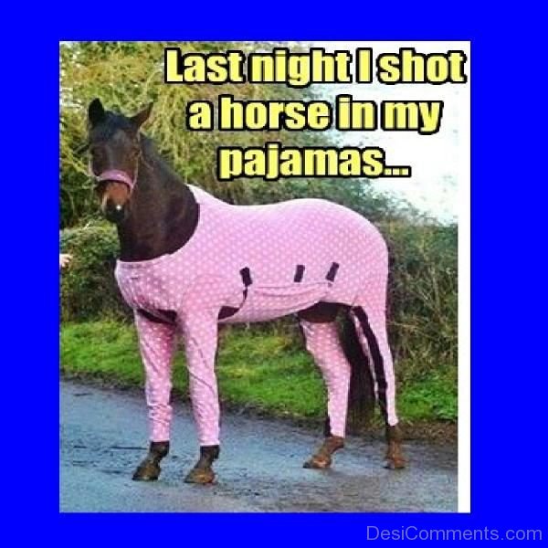 Last Night I Shot A Horse In My Pajamas