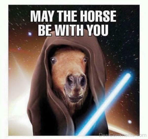 May The Horse Be With You