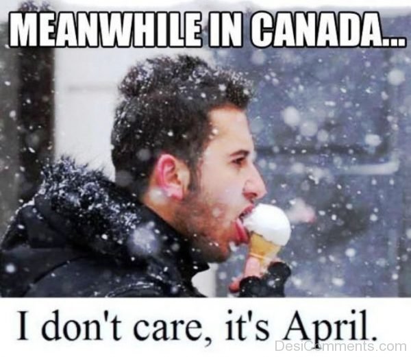 Meanwhile In Canada
